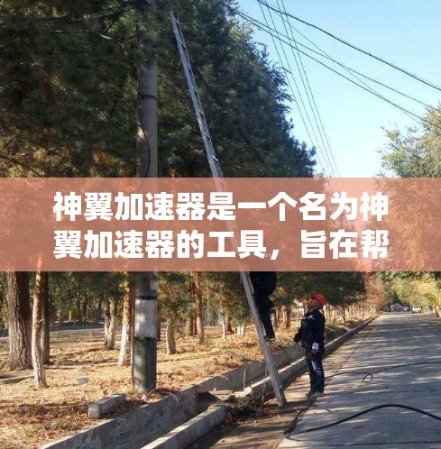 神翼加速器是一个名为神翼加速器的工具，旨在帮助用户加速某些游戏。以下是关于该工具的详细分析