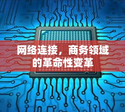网络连接，商务领域的革命性变革