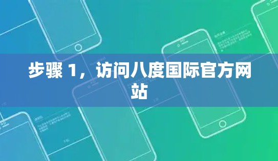 步骤 1，访问八度国际官方网站