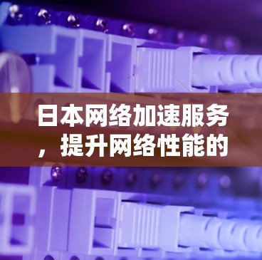 日本网络加速服务，提升网络性能的高效选择