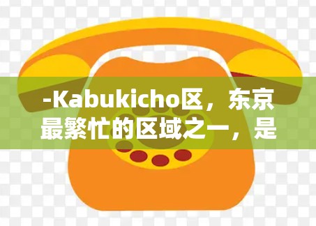 -Kabukicho区，东京最繁忙的区域之一，是主要的互联网节点之一