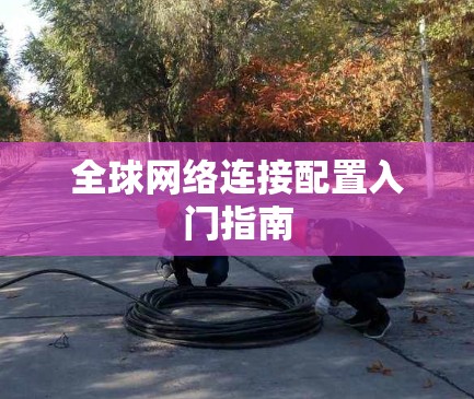 全球网络连接配置入门指南