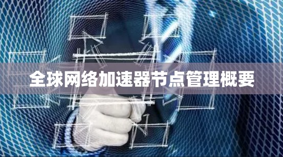 全球网络加速器节点管理概要