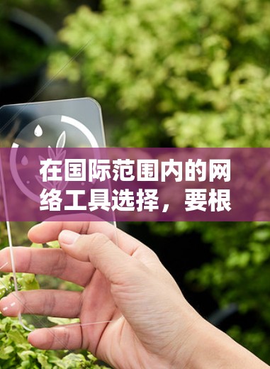 在国际范围内的网络工具选择，要根据具体的使用需求和目标来权衡。以下是一些推荐的工具，供你参考