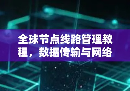 全球节点线路管理教程，数据传输与网络连接之道