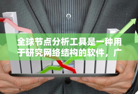 全球节点分析工具是一种用于研究网络结构的软件，广泛应用于全球网络分析。以下是对这些工具的结构化说明