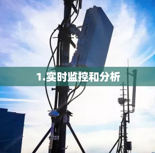 1.实时监控和分析 1.实时监控和分析