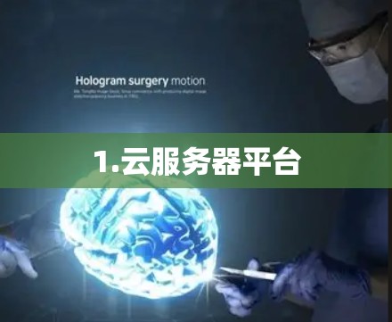 1.云服务器平台