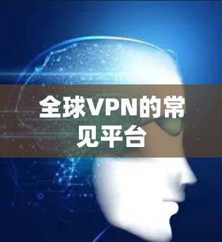 全球VPN的常见平台 全球VPN的常见平台
