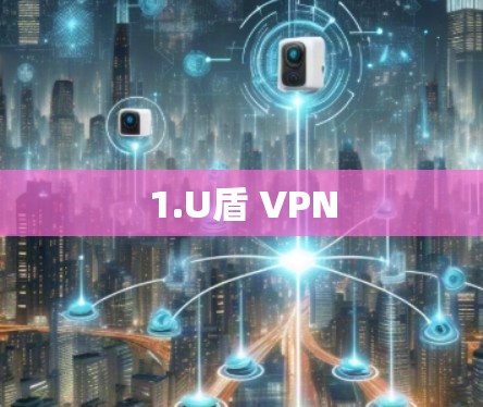 1.U盾 VPN