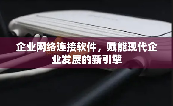 企业网络连接软件,赋能现代企业发展的新引擎 企业网络连接软件,赋能现代企业发展的新引擎