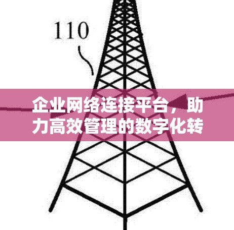 企业网络连接平台，助力高效管理的数字化转型