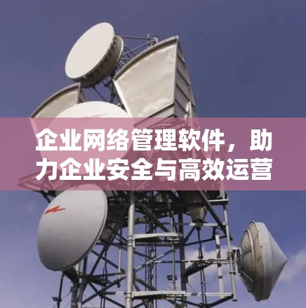 企业网络管理软件，助力企业安全与高效运营