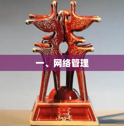 一、网络管理 一、网络管理
