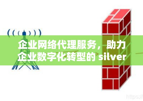 企业网络代理服务，助力企业数字化转型的 silver bullet