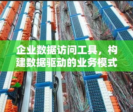 企业数据访问工具，构建数据驱动的业务模式