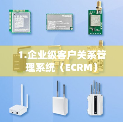 1.企业级客户关系管理系统(ECRM) 1.企业级客户关系管理系统(ECRM)