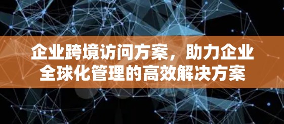 企业跨境访问方案，助力企业全球化管理的高效解决方案