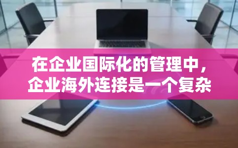 在企业国际化的管理中，企业海外连接是一个复杂而重要的领域，涉及多个环节和策略。以下是对该领域的一些总结和建议，旨在帮助您更好地理解和管理这一过程