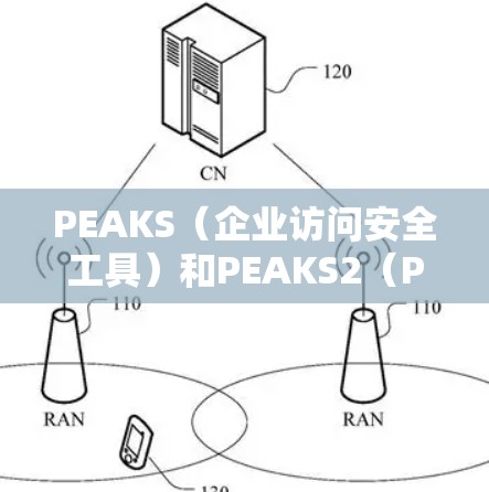 PEAKS（企业访问安全工具）和PEAKS2（PEAKS的扩展版本）是帮助企业保护内部网络免受访问风险的工具，主要通过制定和执行访问控制规则来管理访问权限和时间。以下是它们的主要特点、应用场景和优势