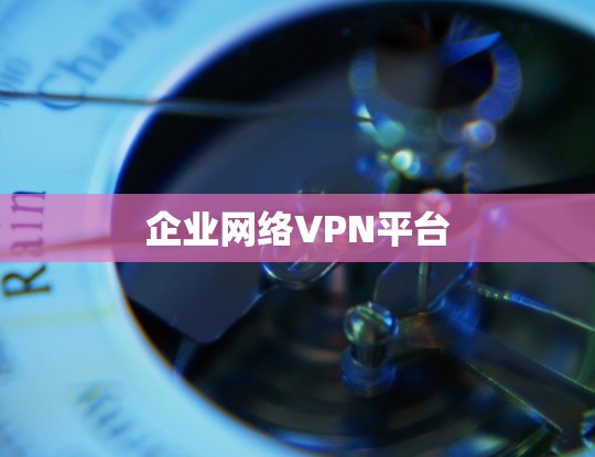 企业网络VPN平台