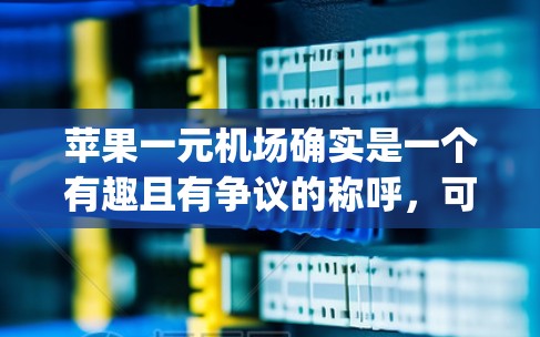 苹果一元机场确实是一个有趣且有争议的称呼，可能与苹果公司的国际航班有关。这种航班通常被称为一元航班，因为它通常由苹果公司运营，并且票价很低，可能是因为其地理位置、飞行路线或与其他 flight竞争