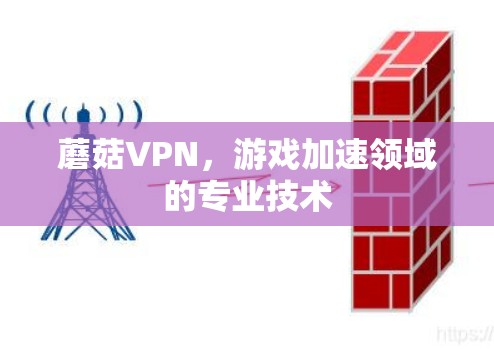 蘑菇VPN,游戏加速领域的专业技术 蘑菇VPN,游戏加速领域的专业技术