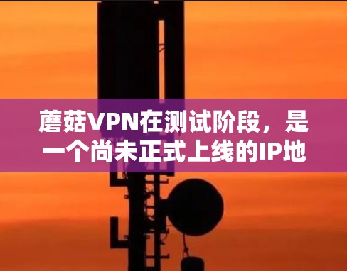 蘑菇VPN在测试阶段,是一个尚未正式上线的IP地址,主要基于GPT-3协议,可能在安全性和稳定性方面还有待优化。以下是关于蘑菇VPN线路测试的一些关键信息和考虑因素 蘑菇VPN在测试阶段,是一个尚未正式上线的IP地址,主要基于GPT-3协议,可能在安全性和稳定性方面还有待优化。以下是关于蘑菇VPN线路测试的一些关键信息和考虑因素