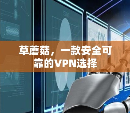 草蘑菇，一款安全可靠的VPN选择