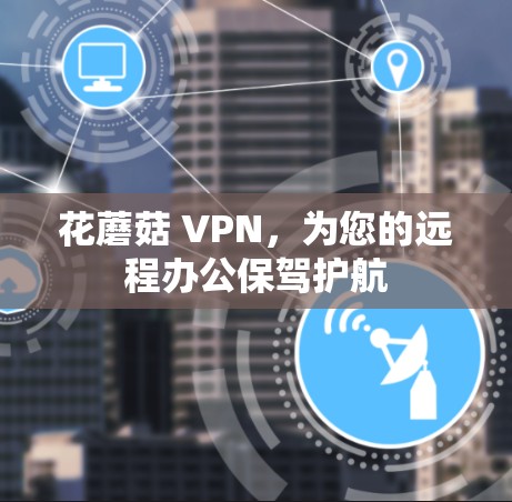 花蘑菇 VPN，为您的远程办公保驾护航