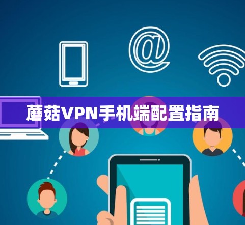 蘑菇VPN手机端配置指南
