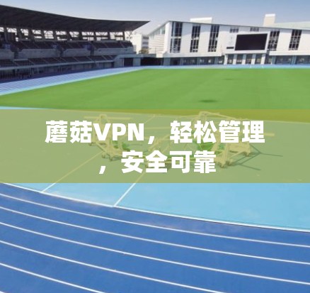 蘑菇VPN，轻松管理，安全可靠