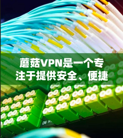 蘑菇VPN是一个专注于提供安全、便捷和可靠VPN服务的平台，旨在为用户提供高标准的网络体验。以下是一个蘑菇VPN的使用指南，涵盖基本操作、多语言支持以及高级设置等内容，帮助用户轻松上手