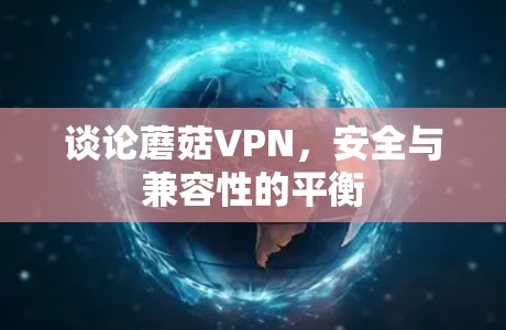 谈论蘑菇VPN，安全与兼容性的平衡