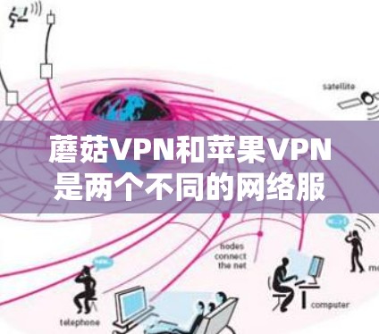 蘑菇VPN和苹果VPN是两个不同的网络服务，主要针对不同的用户群体。以下是关于蘑菇VPN和苹果VPN的详细介绍