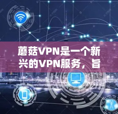 蘑菇VPN是一个新兴的VPN服务，旨在为用户提供更便捷的VPN体验。尽管它可能没有官方的免费版，但确实有一个免费的选项，Unblock，这使得它成为一个吸引用户的选择