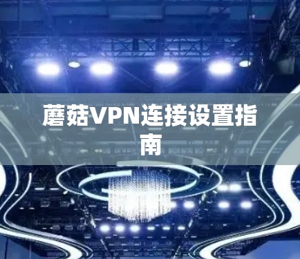 蘑菇VPN连接设置指南