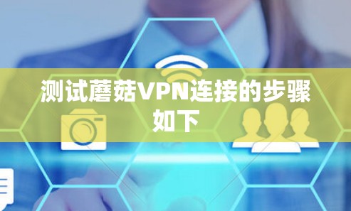 测试蘑菇VPN连接的步骤如下