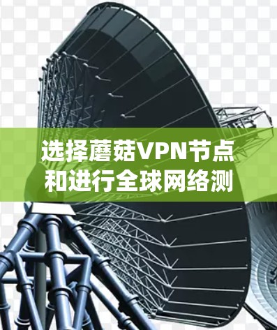 选择蘑菇VPN节点和进行全球网络测试是连接到优质VPN服务的重要步骤。以下是一个清晰、系统化的指南，帮助您顺利完成这一过程