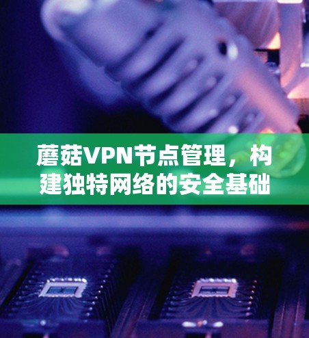 蘑菇VPN节点管理，构建独特网络的安全基础