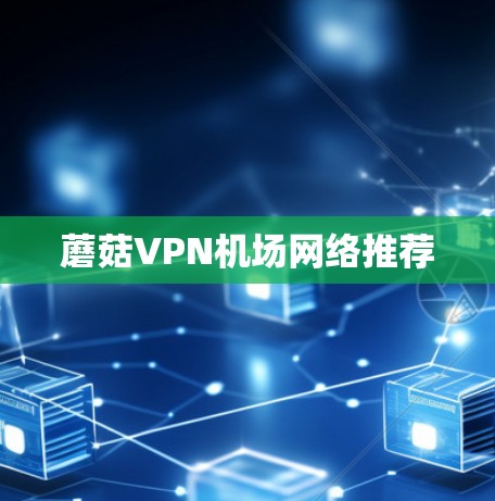 蘑菇VPN机场网络推荐 蘑菇VPN机场网络推荐