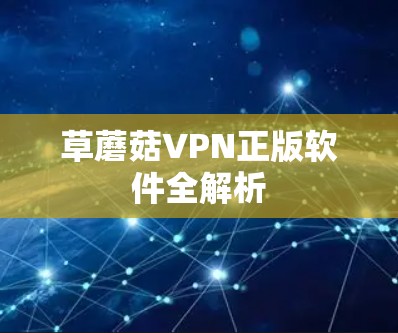 草蘑菇VPN正版软件全解析