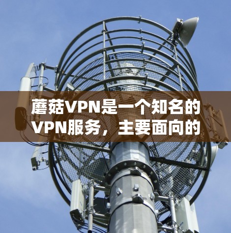 蘑菇VPN是一个知名的VPN服务,主要面向的是普通用户,尤其是那些需要安全、可靠和强大的VPN体验的人。蘑菇VPN的官方应用下载通常限于苹果用户,并且可能需要通过第三方应用商店或购买付费版才能下载 蘑菇VPN是一个知名的VPN服务,主要面向的是普通用户,尤其是那些需要安全、可靠和强大的VPN体验的人。蘑菇VPN的官方应用下载通常限于苹果用户,并且可能需要通过第三方应用商店或购买付费版才能下载