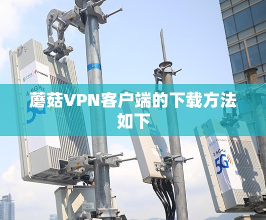 蘑菇VPN客户端的下载方法如下 蘑菇VPN客户端的下载方法如下