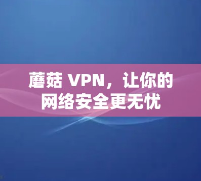 蘑菇 VPN，让你的网络安全更无忧