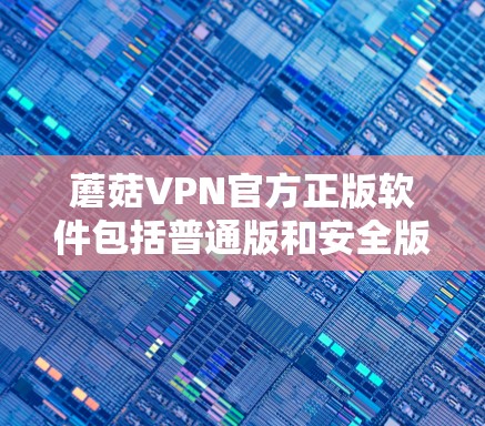 蘑菇VPN官方正版软件包括普通版和安全版两种。以下是适合不同用户的选择