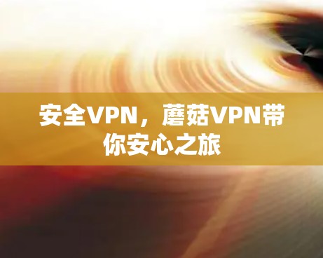 安全VPN,蘑菇VPN带你安心之旅 安全VPN,蘑菇VPN带你安心之旅