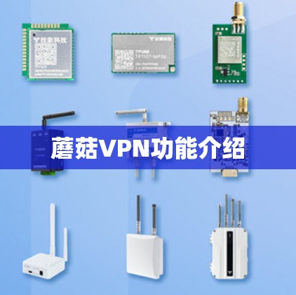 蘑菇VPN功能介绍 蘑菇VPN功能介绍