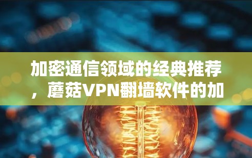 加密通信领域的经典推荐,蘑菇VPN翻墙软件的加密探索 加密通信领域的经典推荐,蘑菇VPN翻墙软件的加密探索