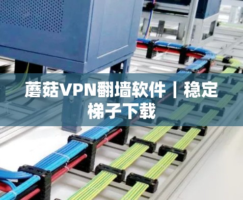 蘑菇VPN翻墙软件|稳定梯子下载 蘑菇VPN翻墙软件|稳定梯子下载